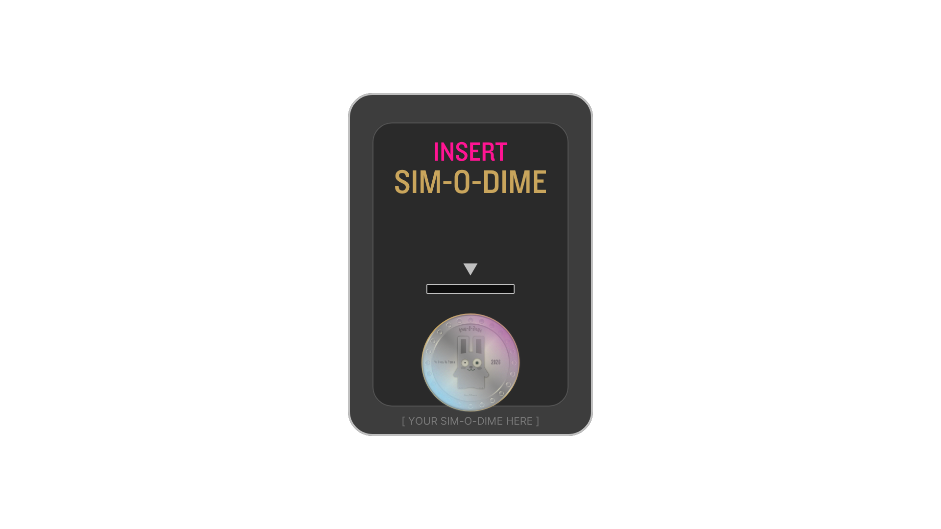 Insert Sim-O-Dime Module Asset